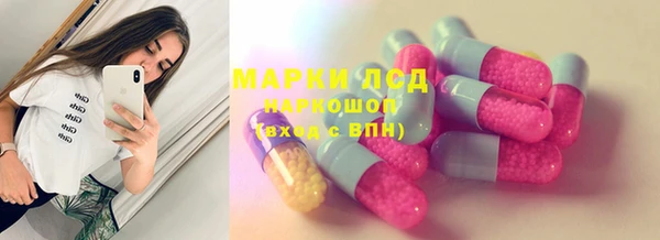 ГАЛЛЮЦИНОГЕННЫЕ ГРИБЫ Беломорск