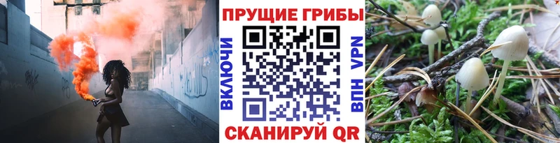 Галлюциногенные грибы Cubensis  хочу наркоту  Петрозаводск 